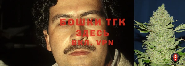 ALPHA PVP Надым