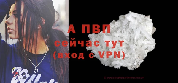 трава Бикин