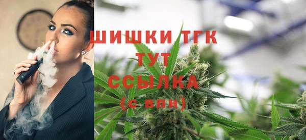 ALPHA PVP Надым