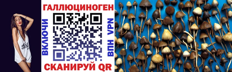 Галлюциногенные грибы прущие грибы Чебаркуль