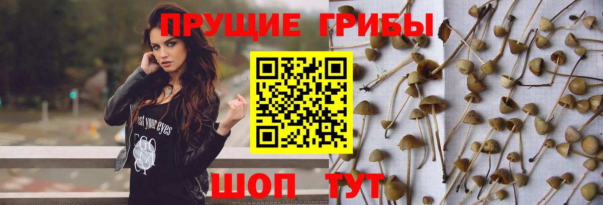 Чебаркуль  Псилоцибиновые грибы Magic Shrooms  Вход с VPN 